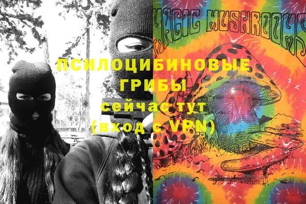 apvp Нязепетровск