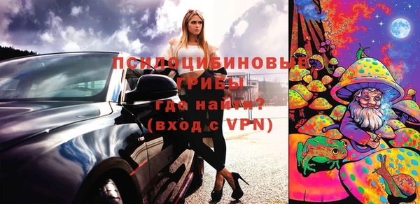 ALPHA PVP Няндома