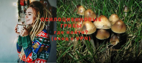 apvp Нягань