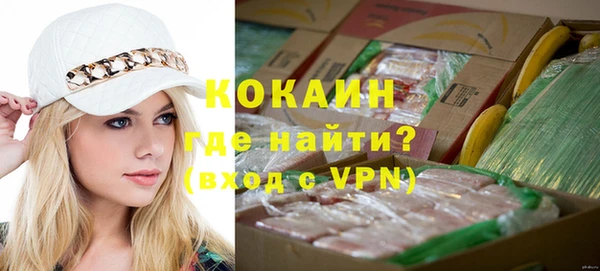 шишки Новозыбков